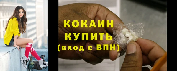 МДПВ Богородицк