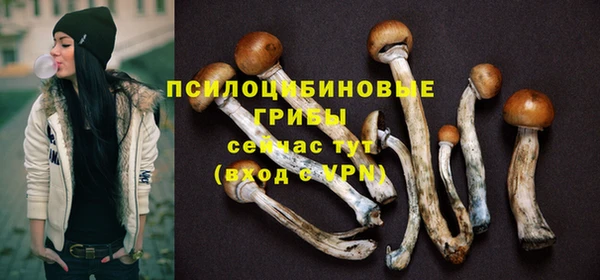 МДПВ Богородицк