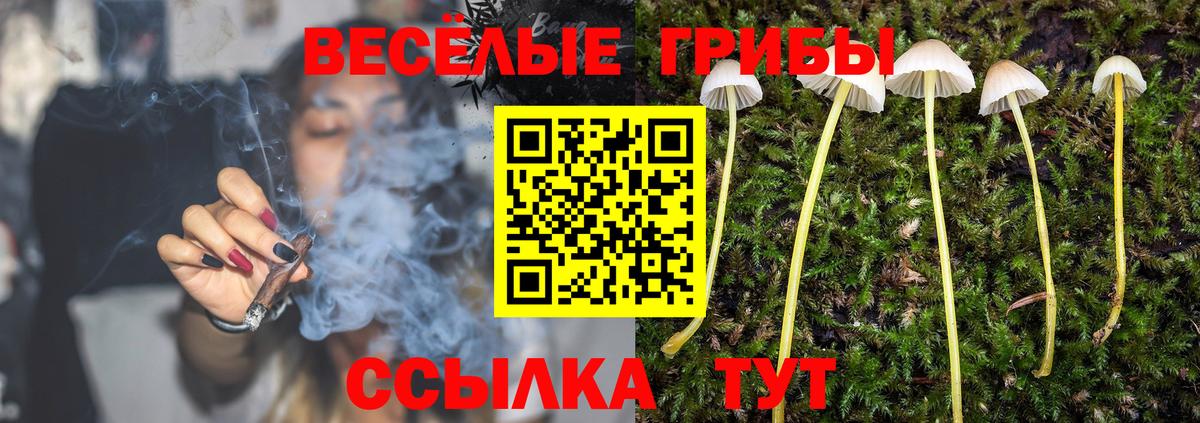 Кисловодск  наркотики  Галлюциногенные грибы Psilocybe  Вход с VPN  Псилоцибиновые грибы Cubensis 