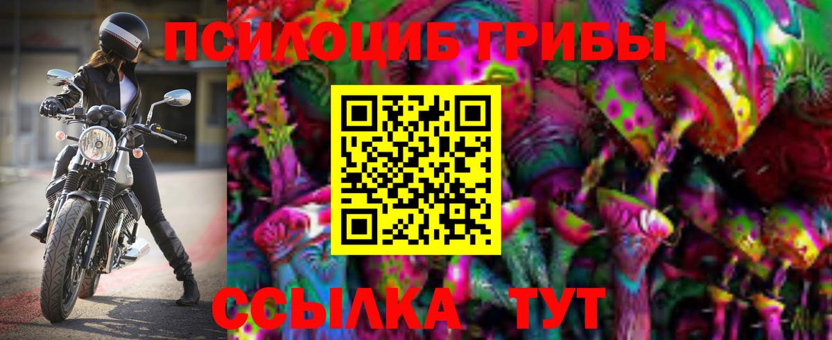 Галлюциногенные грибы Psilocybe Кисловодск